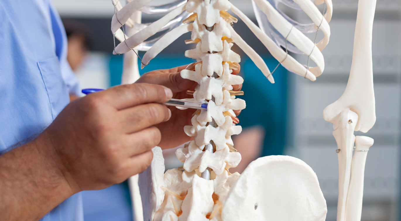 osteoporosis spine osteoporosis spine